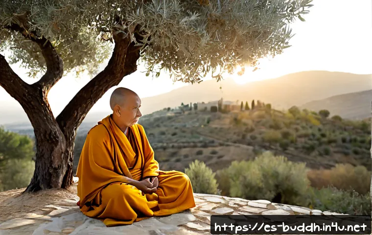 불교에서의 순수 지혜 - Photorealistic serene Buddhist meditation scene in a quiet Spanish countryside retreat, an elderly m...
